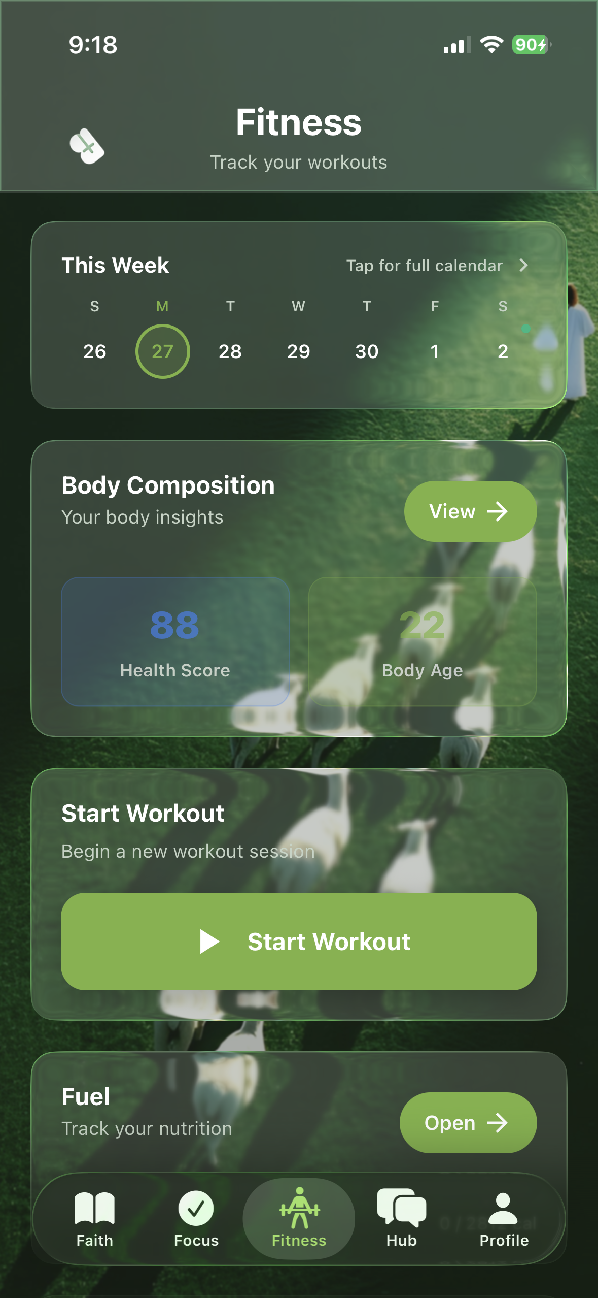 Fitness tab