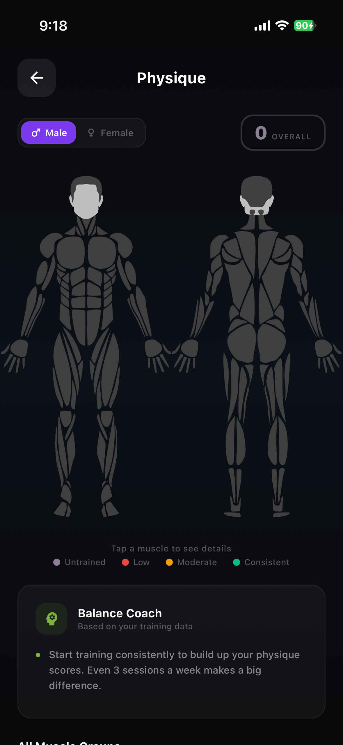 Physique muscle visualizer
